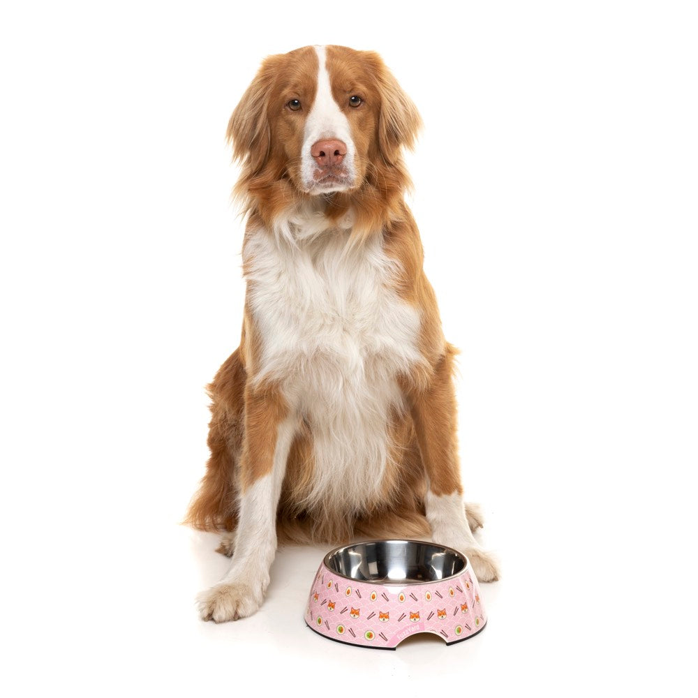 FuzzYard Easy Feeder Dog Bowl - Sushiba - Kohepets
