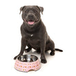 FuzzYard Easy Feeder Dog Bowl - Sushiba - Kohepets