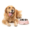FuzzYard Easy Feeder Dog Bowl - Sushiba - Kohepets