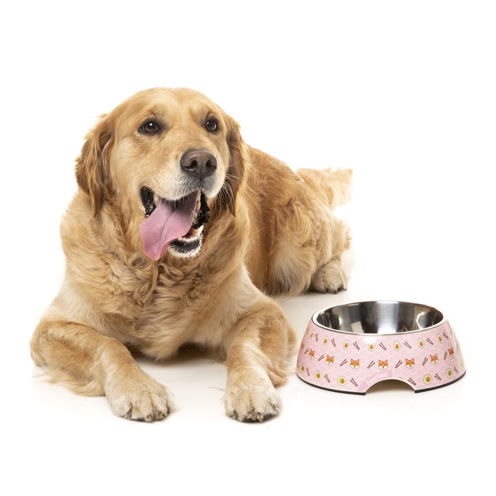 FuzzYard Easy Feeder Dog Bowl - Sushiba - Kohepets