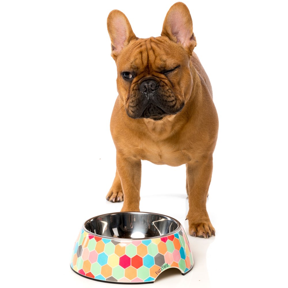 FuzzYard Easy Feeder Dog Bowl - The Hive - Kohepets