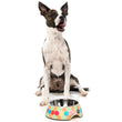 FuzzYard Easy Feeder Dog Bowl - The Hive - Kohepets