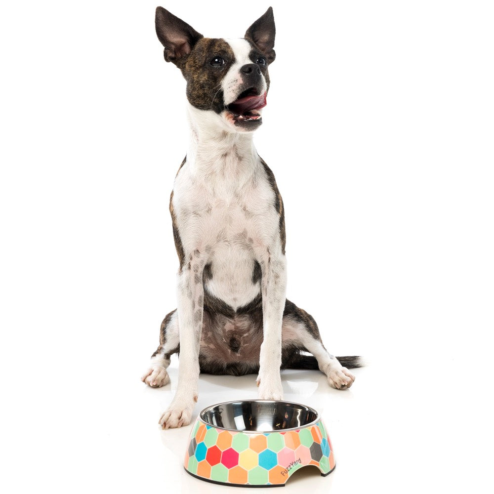 FuzzYard Easy Feeder Dog Bowl - The Hive - Kohepets
