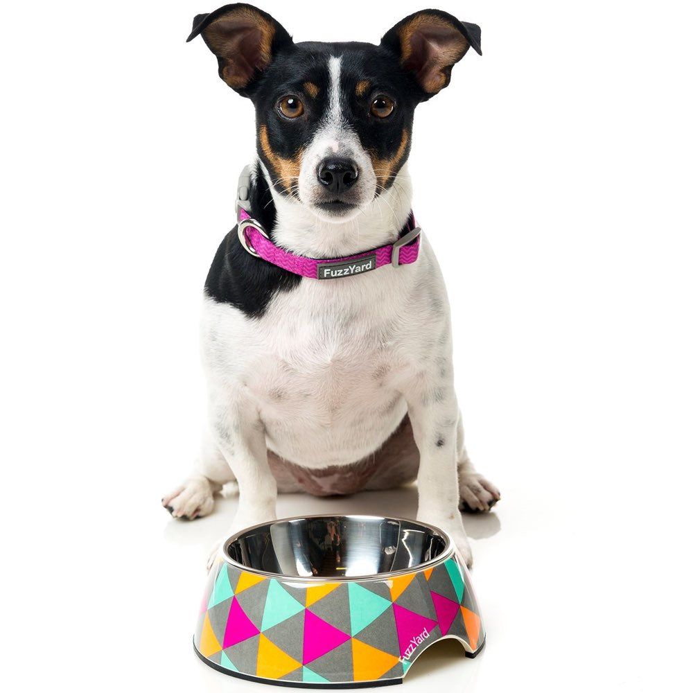 FuzzYard Easy Feeder Dog Bowl (Pop) - Kohepets