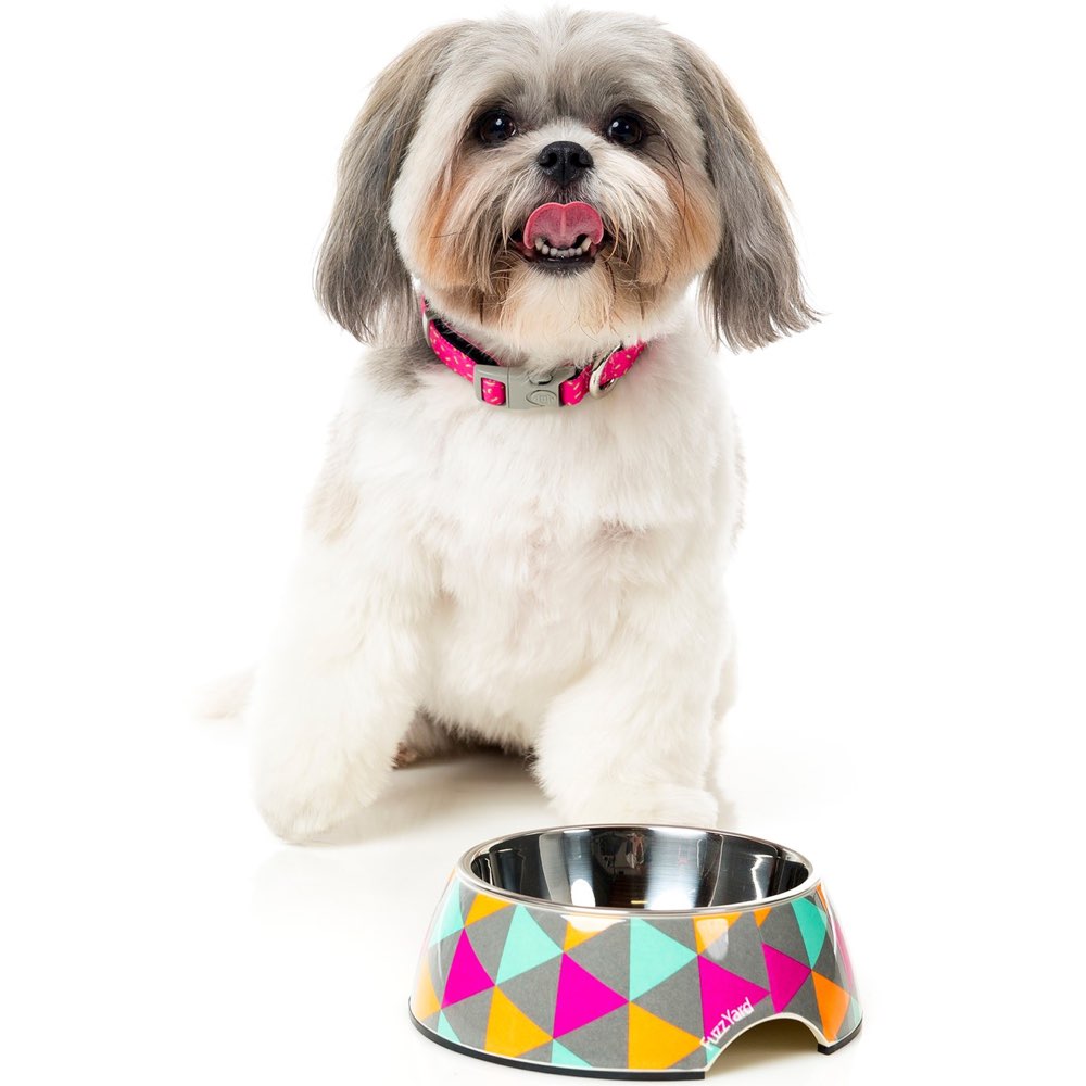 FuzzYard Easy Feeder Dog Bowl (Pop) - Kohepets