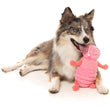 FuzzYard Flutter The Bed Bug Plush Dog Toy (Pink)