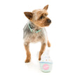 Fuzzyard Frozen Yoghurt Plush Toy - Kohepets