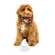 Fuzzyard Frozen Yoghurt Plush Toy - Kohepets