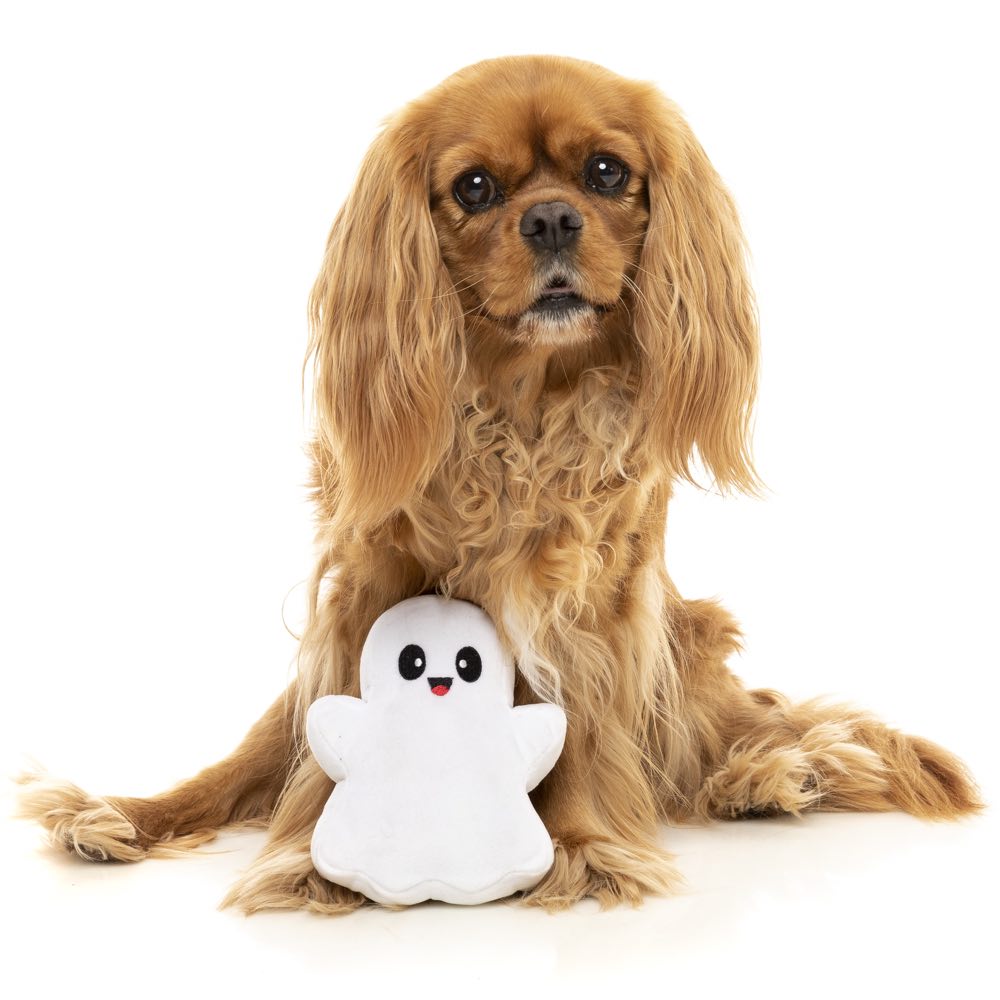 15% OFF: FuzzYard Halloween 2 Cute 2 Spook Ghost Plush Dog Toy