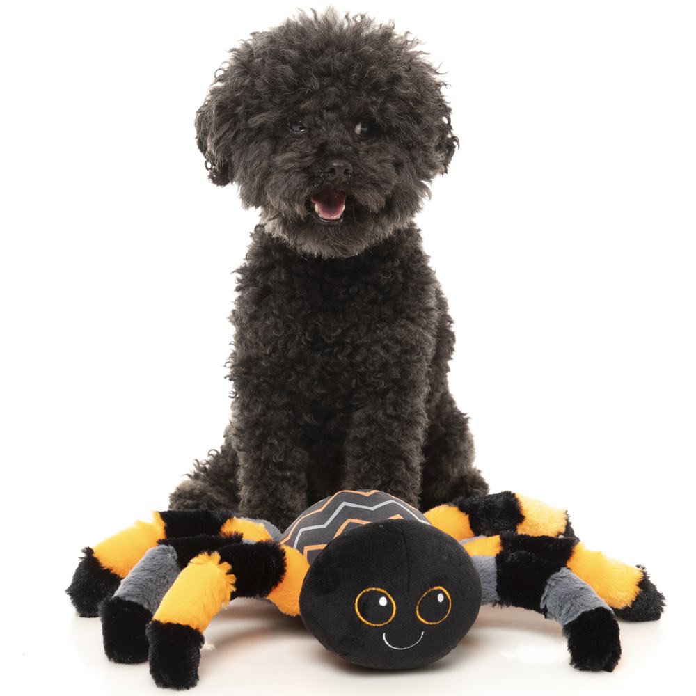15% OFF: FuzzYard Halloween Terri Tarantula Plush Dog Toy