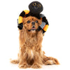 15% OFF: FuzzYard Halloween Terri Tarantula Plush Dog Toy