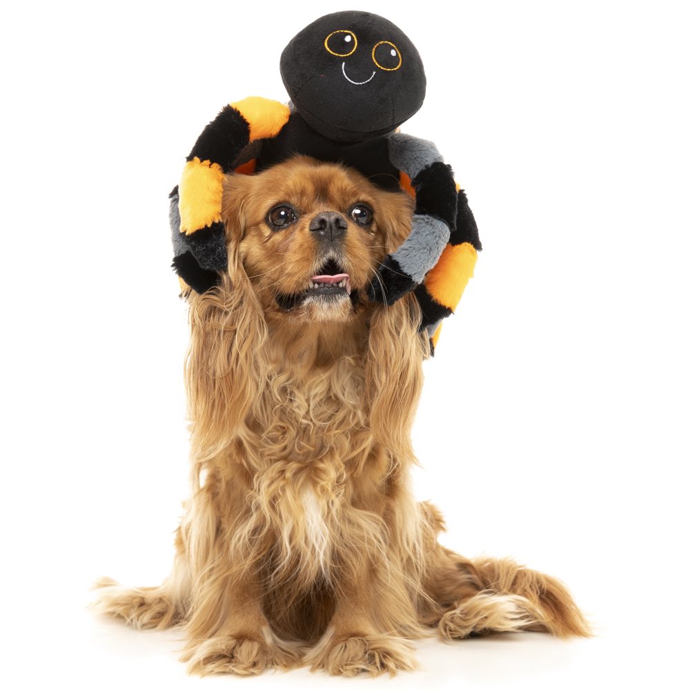 15% OFF: FuzzYard Halloween Terri Tarantula Plush Dog Toy