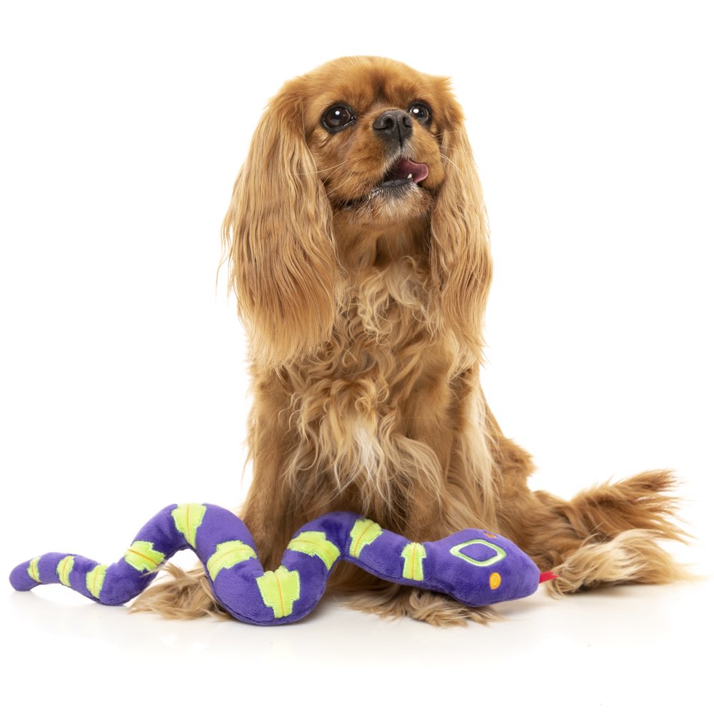 15% OFF: FuzzYard Halloween William Snakespeare Plush Dog Toy