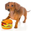 Fuzzyard Hamburger Plush Toy - Kohepets