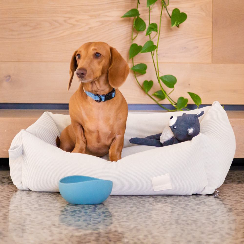 15% OFF: FuzzYard Life Silicone Dog Bowl (Soft Blush)