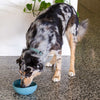 15% OFF: FuzzYard Life Silicone Dog Bowl (Slate Grey)