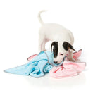 FuzzYard Microfibre Drying Towel for Puppies