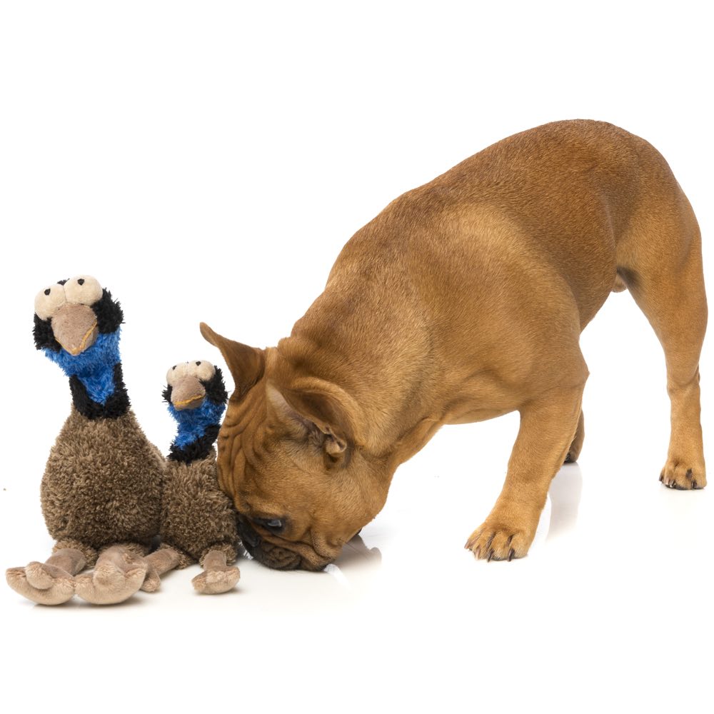 15% OFF: FuzzYard OZ The Emu Plush Dog Toy
