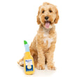 Fuzzyard Pawrona Plush Toy - Kohepets