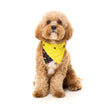 Fuzzyard Pet Bandana (Bel Air) - Kohepets
