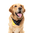Fuzzyard Pet Bandana (Bel Air) - Kohepets