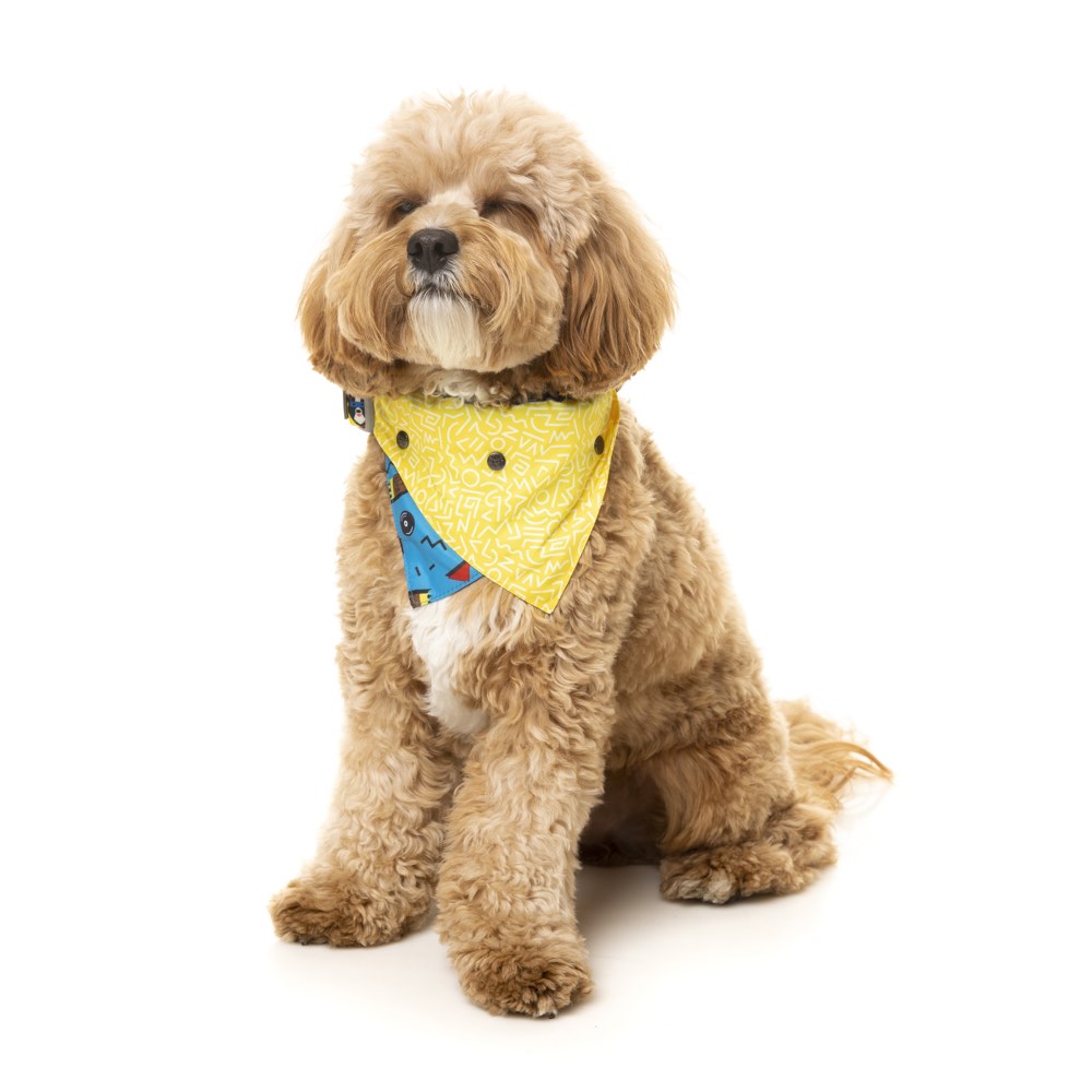 FuzzYard Pet Bandana (Kings of Gold School) - Kohepets