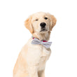 Fuzzyard Pet Bow Tie (Bow & Arrow) - Kohepets