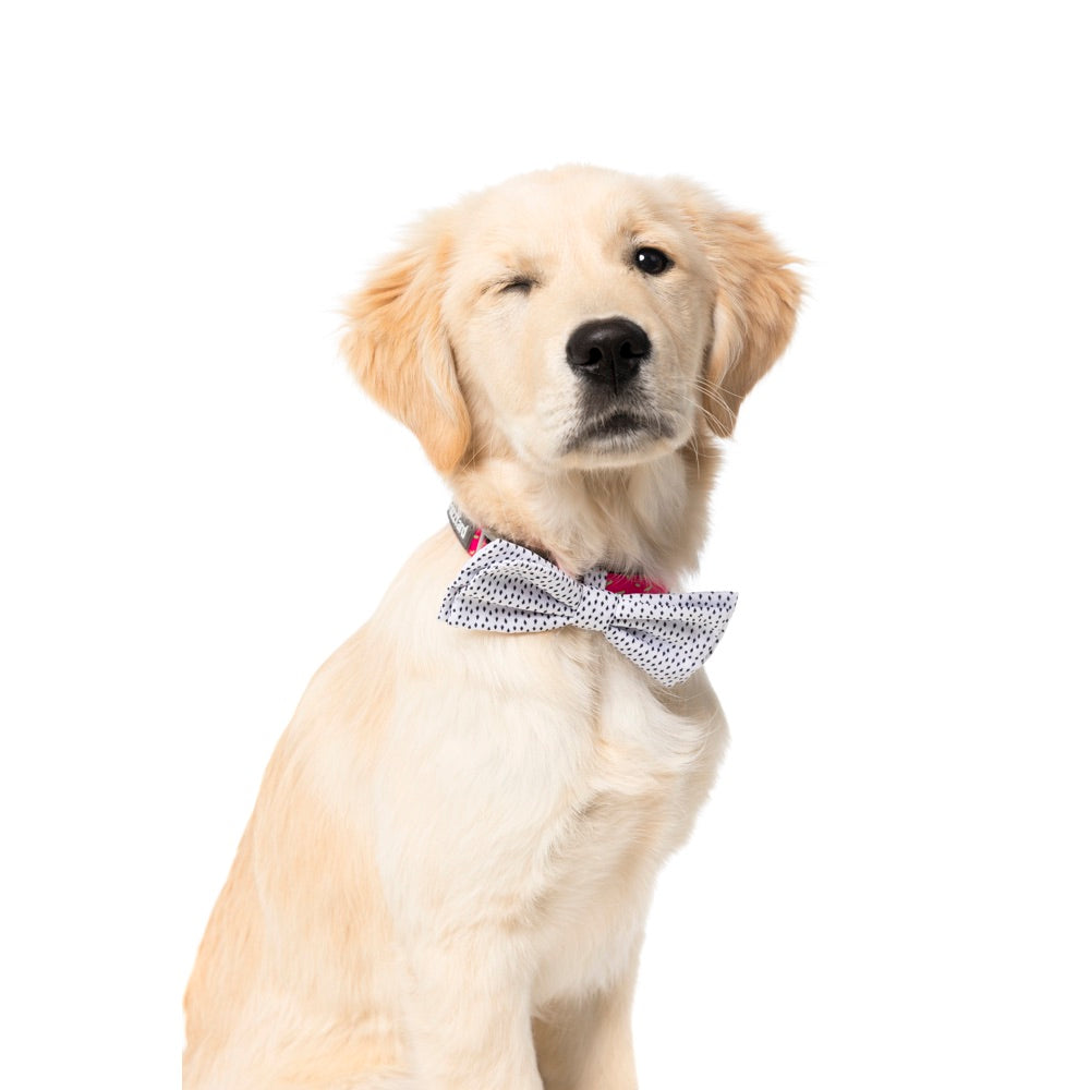 Fuzzyard Pet Bow Tie (Bow & Arrow) - Kohepets