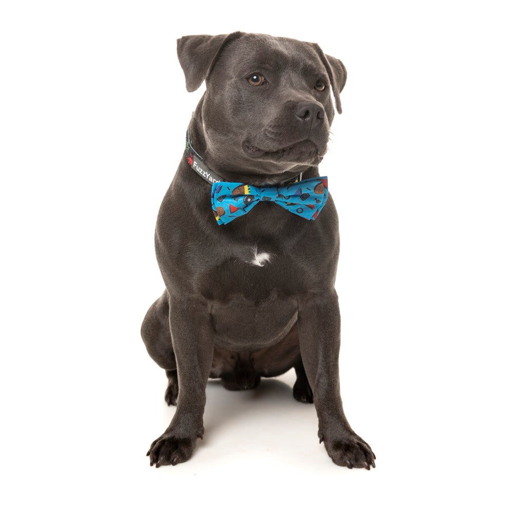 Fuzzyard Pet Bow Tie (Kings of Gold School) - Kohepets