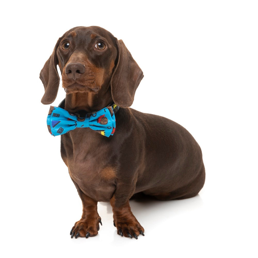 Fuzzyard Pet Bow Tie (Kings of Gold School) - Kohepets