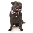 Fuzzyard Pet Bow Tie (LL Cool Jaw$) - Kohepets