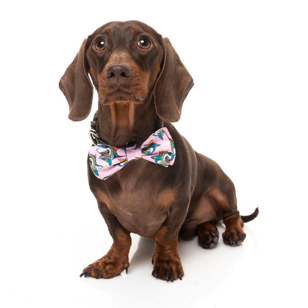 Fuzzyard Pet Bow Tie (LL Cool Jaw$) - Kohepets
