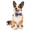 Fuzzyard Pet Bow Tie (Supersize Me) - Kohepets