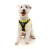 Fuzzyard Step-in Dog Harness (Bel Air) - Kohepets