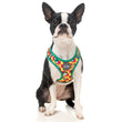 Fuzzyard Step-in Dog Harness (Doggoforce) - Kohepets