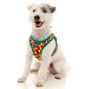 Fuzzyard Step-in Dog Harness (Doggoforce) - Kohepets