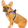 10% OFF: FuzzYard Step-In Dog Harness (Extradonutstrial)