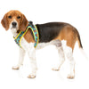 10% OFF: FuzzYard Step-In Dog Harness (Gor-illz)