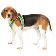 FuzzYard Step-In Dog Harness (Gor-illz)