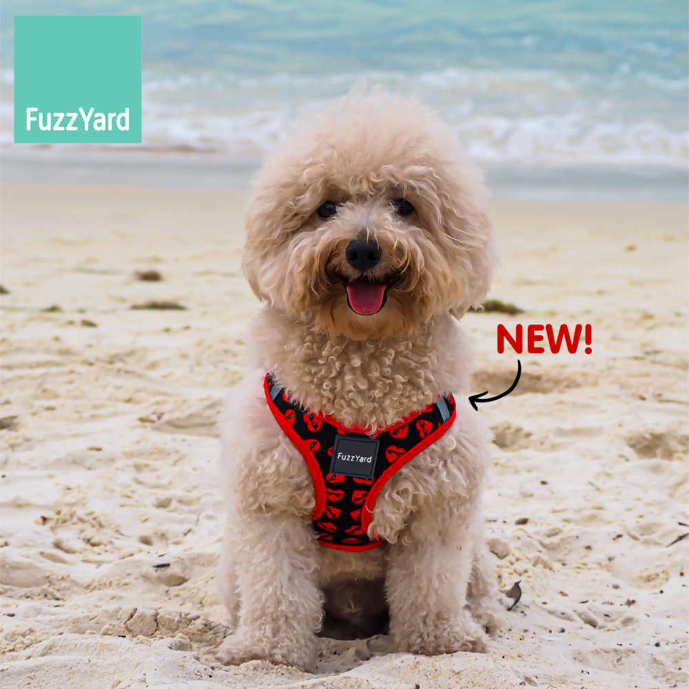 FuzzYard Step-In Dog Harness (Heart Breaker)