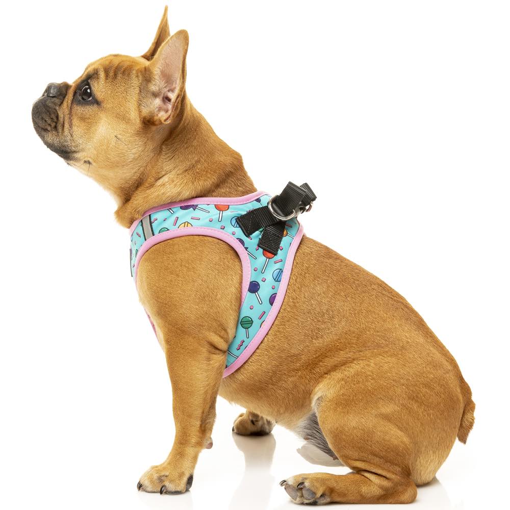 FuzzYard Step-In Dog Harness (Hey Suckers!)