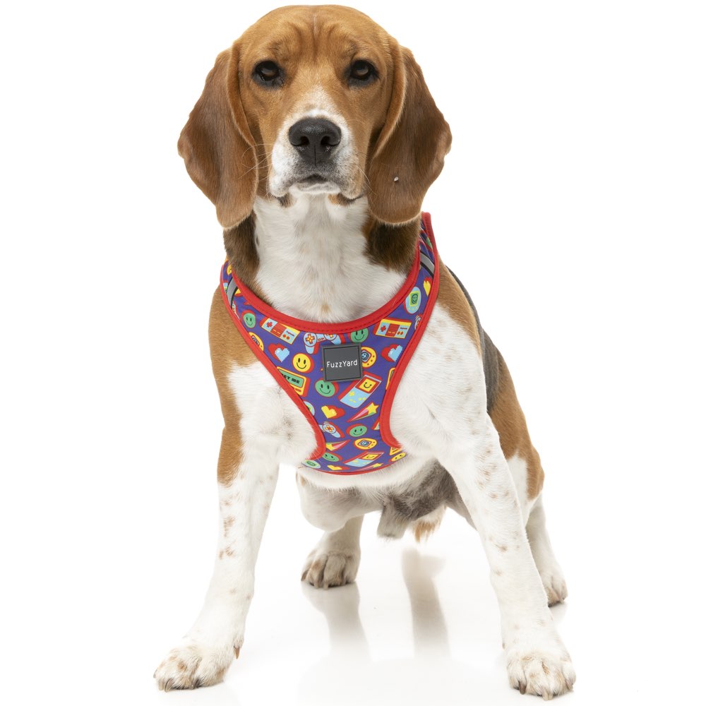 FuzzYard Step-In Dog Harness (Highscore)