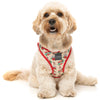 10% OFF: FuzzYard Step-In Dog Harness (Ink'd Up)