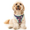 10% OFF: FuzzYard Step-In Dog Harness (Jackpup)