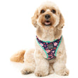 FuzzYard Step-In Dog Harness (Jackpup)