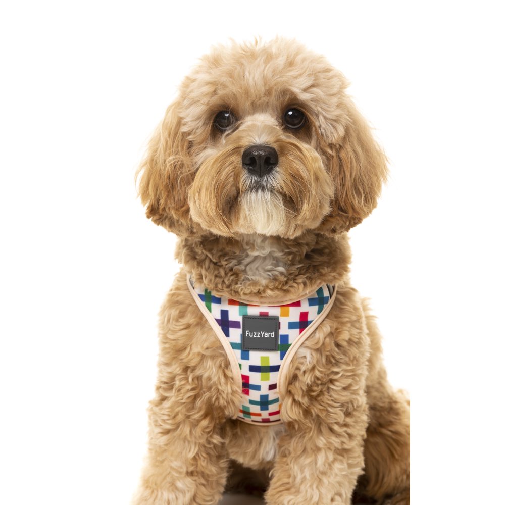 Fuzzyard Step-in Dog Harness (Jenga) - Kohepets