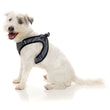 Fuzzyard Step-in Dog Harness (Northcote) - Kohepets