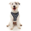 Fuzzyard Step-in Dog Harness (Northcote) - Kohepets
