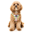 Fuzzyard Step-in Dog Harness (Sushiba) - Kohepets