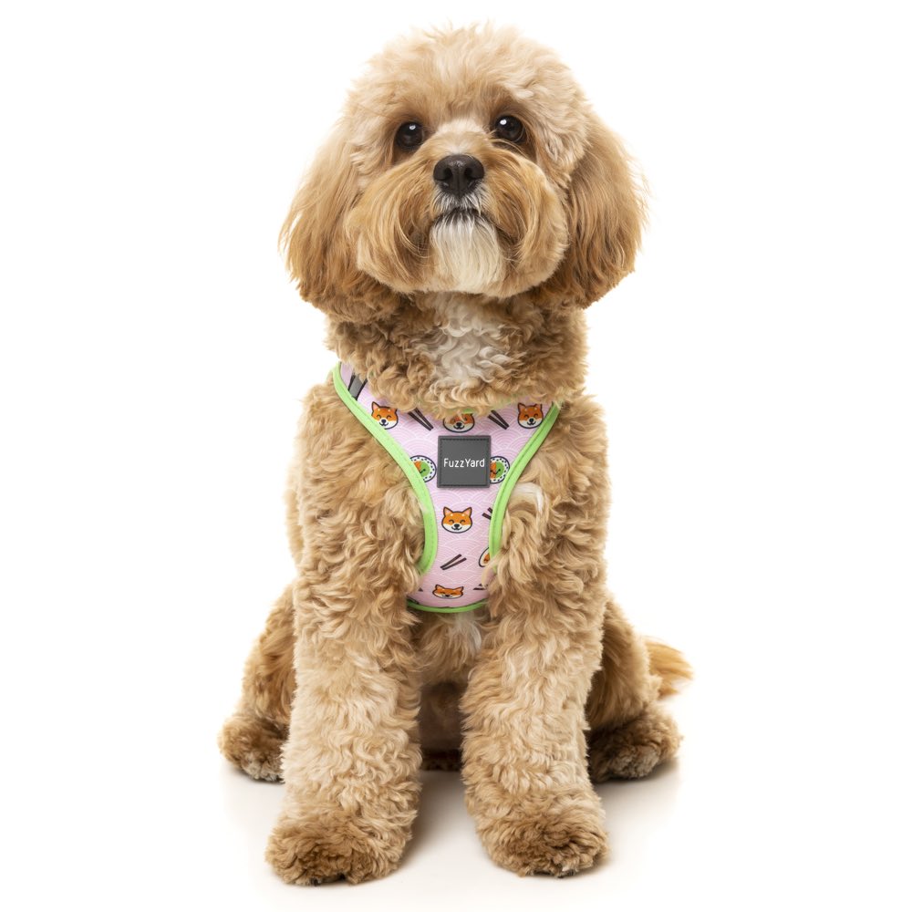 Fuzzyard Step-in Dog Harness (Sushiba) - Kohepets